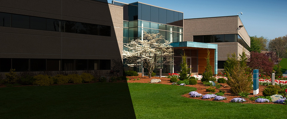 Lyons Landscapers