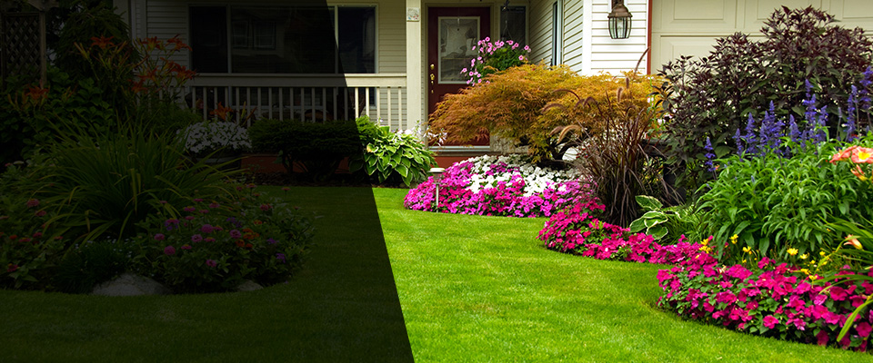 Lyons Landscapers